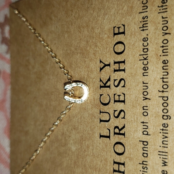 Lucky Horseshoe Necklace Horse Cowgirl Western Country Vaquera Dainty Minimalist - Picture 5 of 13